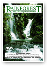 documentary_RainforestCoverShadow